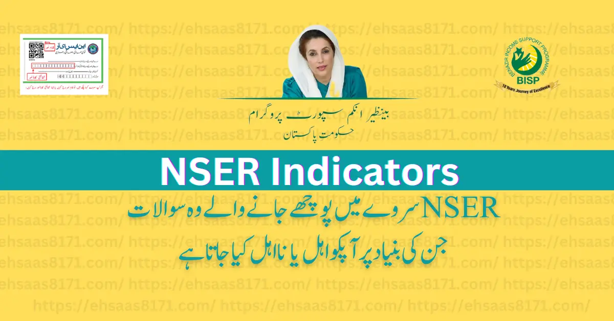 National Socio-economic Registry (NSER )