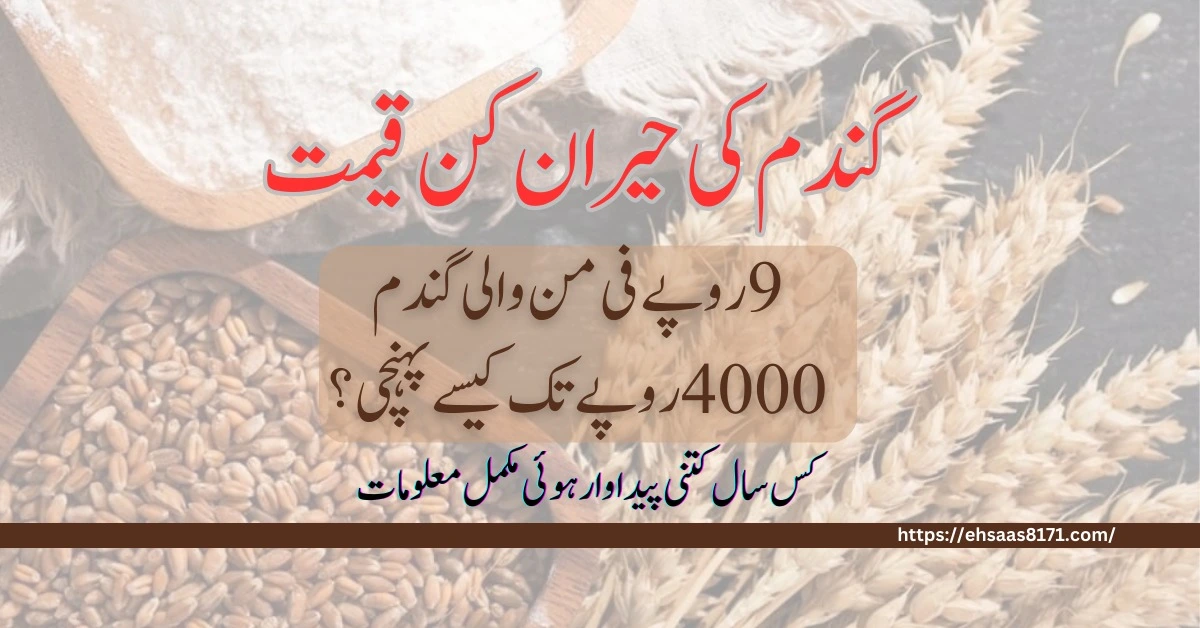 Wheat Production And Price in Pakistan From 1947 to 2023