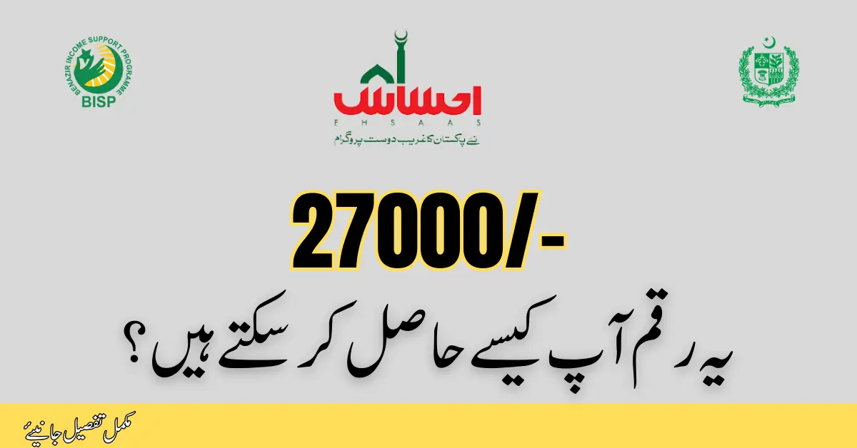Government of Pakistan Announce 27000 Through 8171 Easy Way