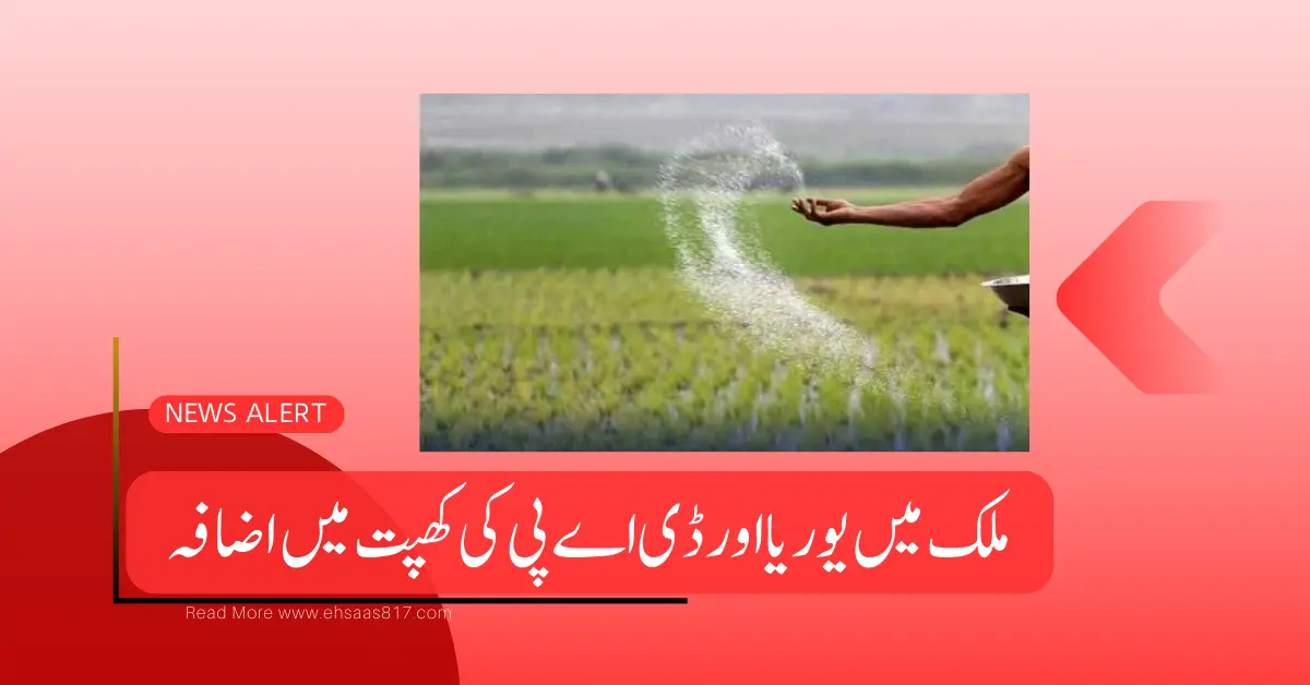 Urea and DAP Across the Country Recorded a Record Increase